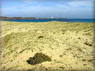 Dieses geschützte Dünengebiet bildet die Grenze zwischen dem Meer, dem Strand und der Albufera de Cala Morella inmitten des Naturparks Es Grao, in der Nähe des Faro de Favaritx.